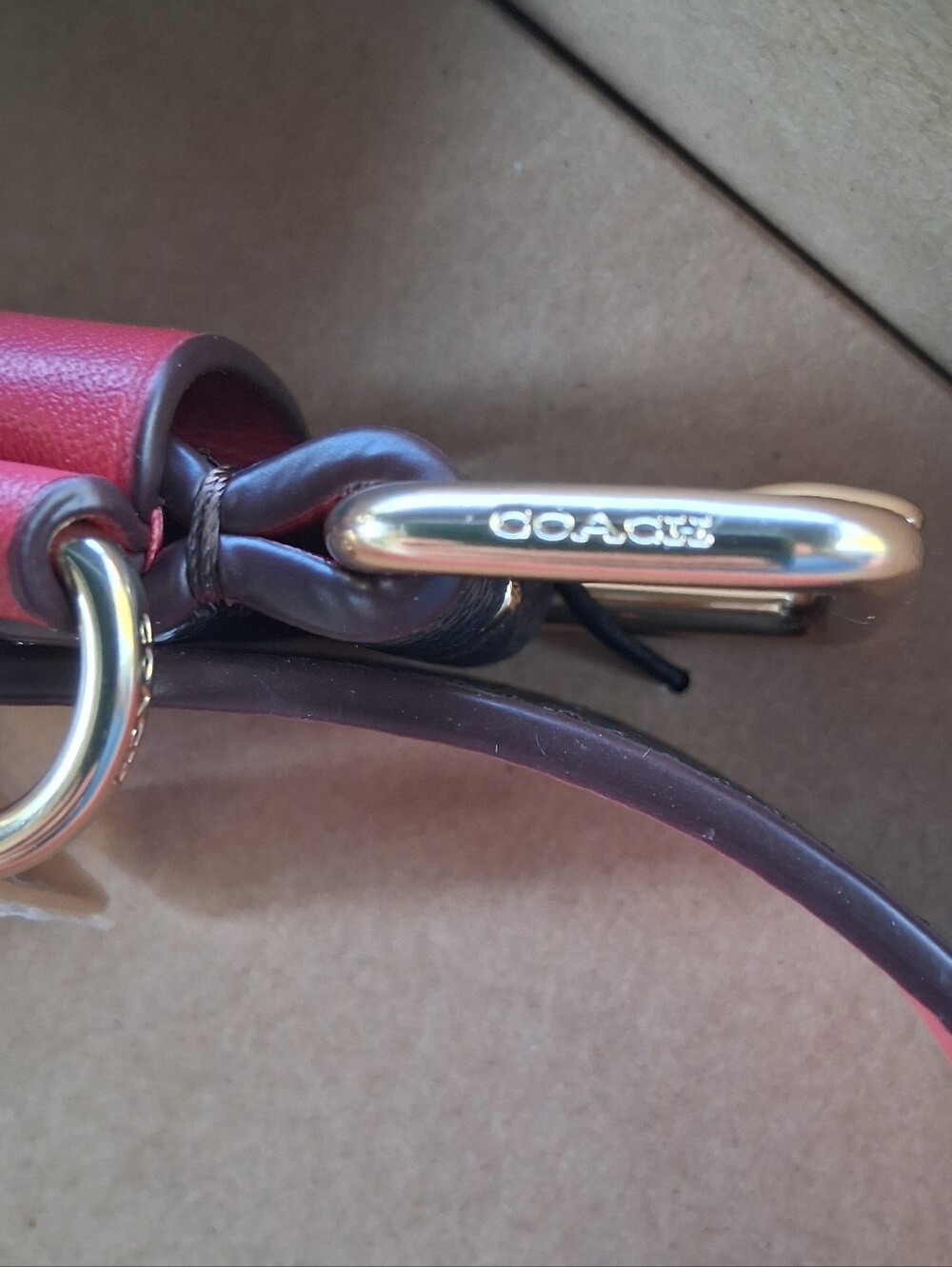 Coach Dog Collar - Picture 6 of 16